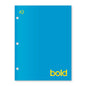 iQ BOLD 4 Pocket Paper Portfolio 12.5 x 9.5in 31231