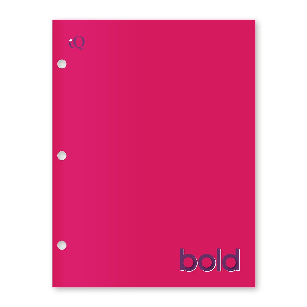 iQ BOLD 4 Pocket Paper Portfolio 12.5 x 9.5in 31231