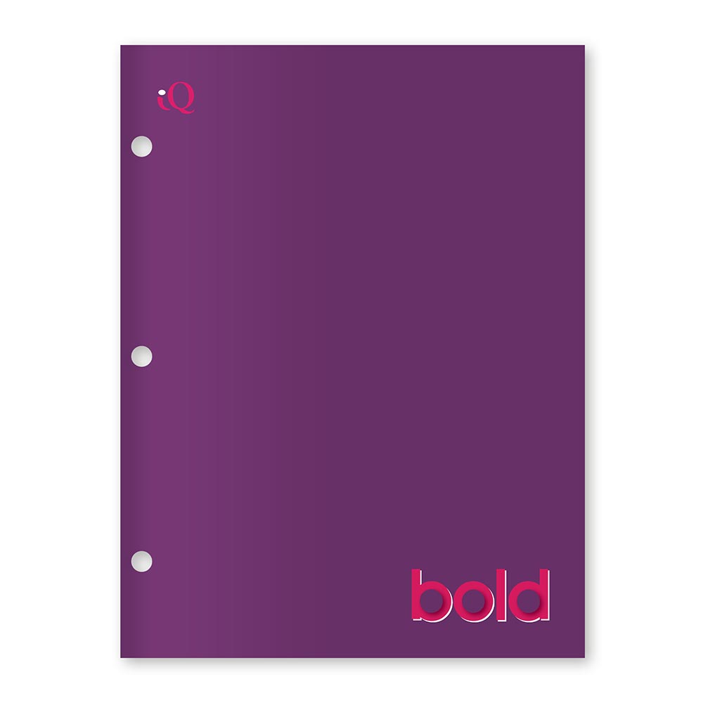 iQ BOLD 4 Pocket Paper Portfolio 12.5 x 9.5in 31231