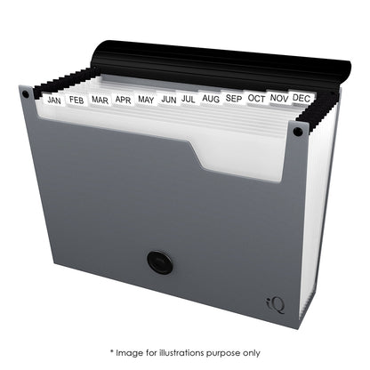 iQ 13 Pocket Expanding File Folder 31313