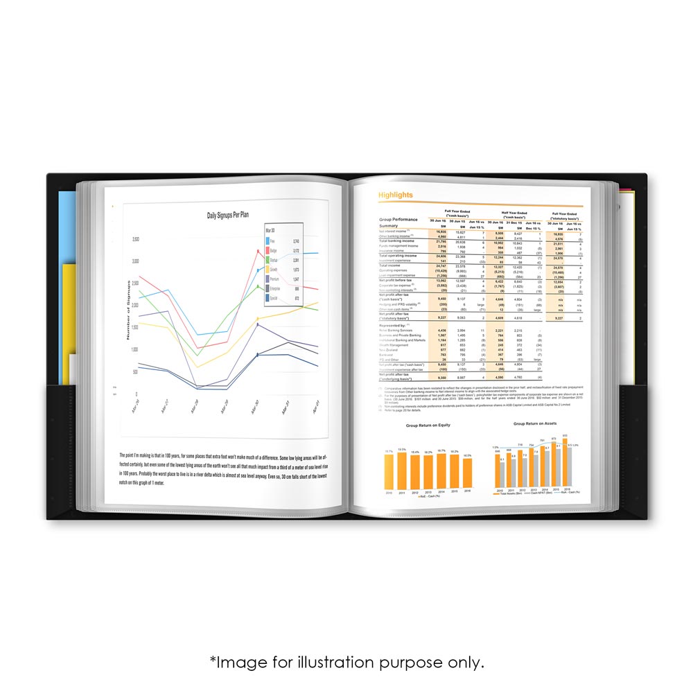 Flex Poly Display Book 39025