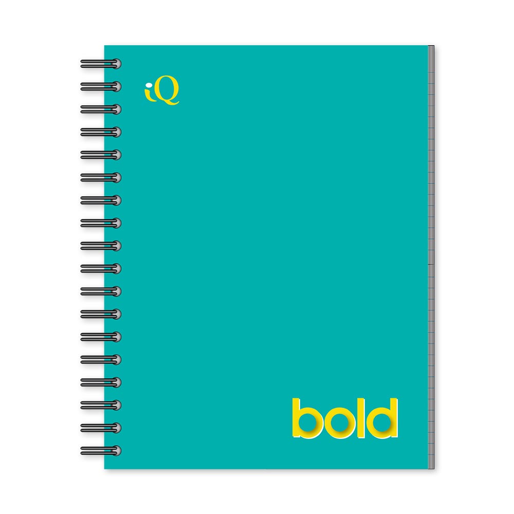 iQ BOLD 1 Subject Notebook Wide Ruled 10.5 x 8in 80 Sheets 52101